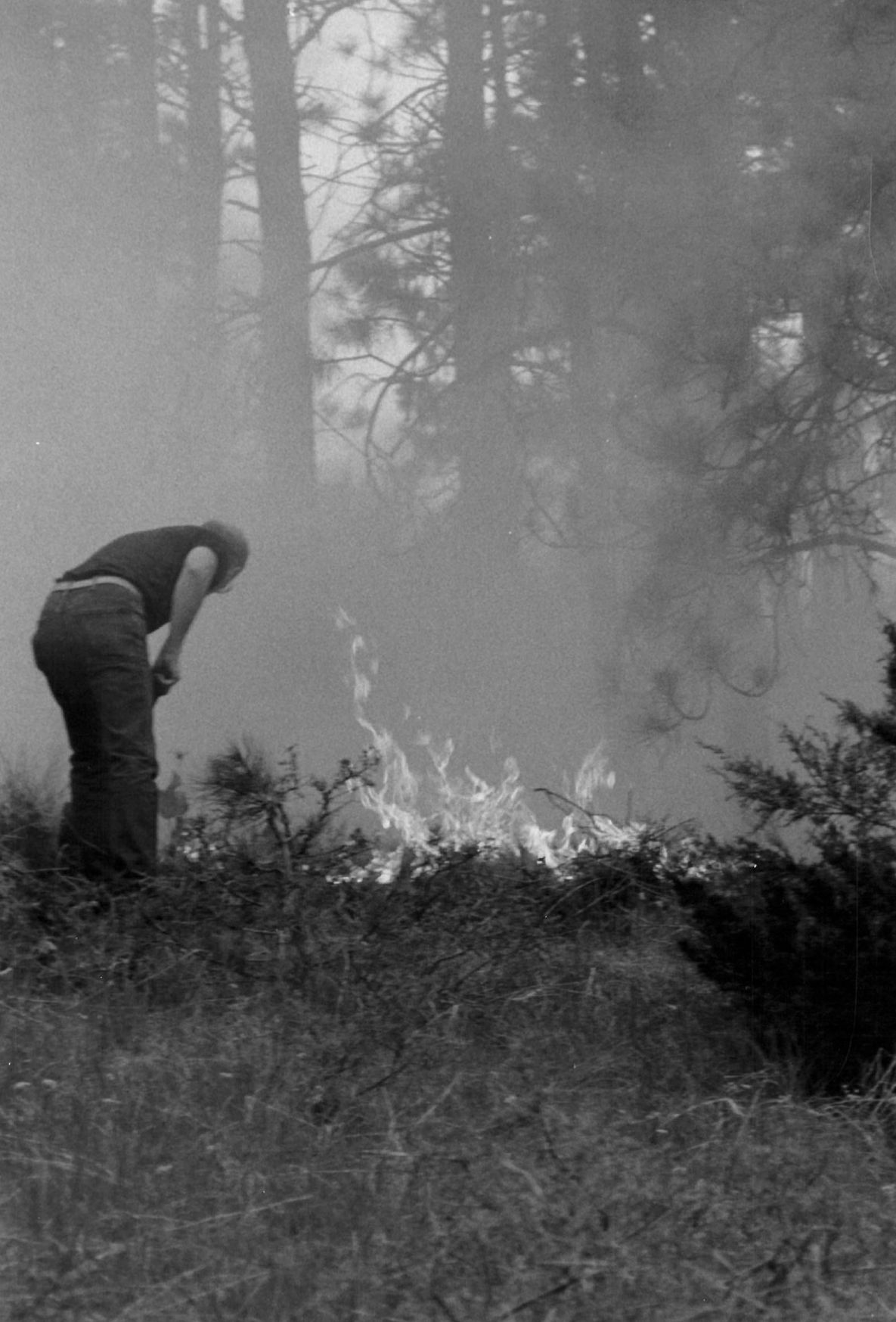 Fighting the flames